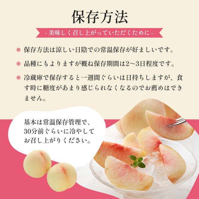 桃 2026年 先行予約 清水 白桃 をお届け！約1.5kg 5～7玉 糖度センサー選果 糖度12度以上 もも モモ 岡山県 赤磐市産 国産 フルーツ 果物 ギフト あみかフルーツ 果汁 産地直送 