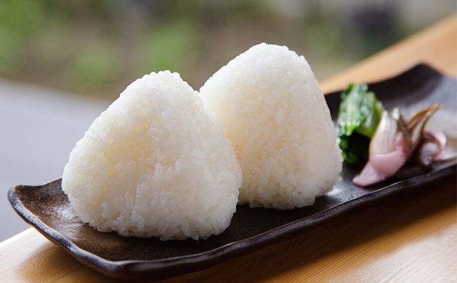 【玄米】江戸伝承極上米（有機米）4kg（2kg×2） 