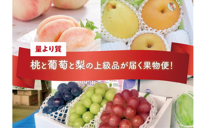 【2026年先行予約】量より質！桃と葡萄と梨の上級品が届く岡山果物便！３回便(定期便) (岡山県産) 【KF-T024-04】