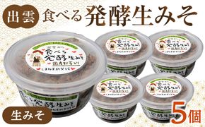 出雲の食べる発酵生みそ250ｇ×５個 322032_CC005VC03