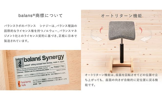 椅子 バランスシナジー カバー付き 選べる シート カラー 腰痛対策椅子 腰痛対策 家具