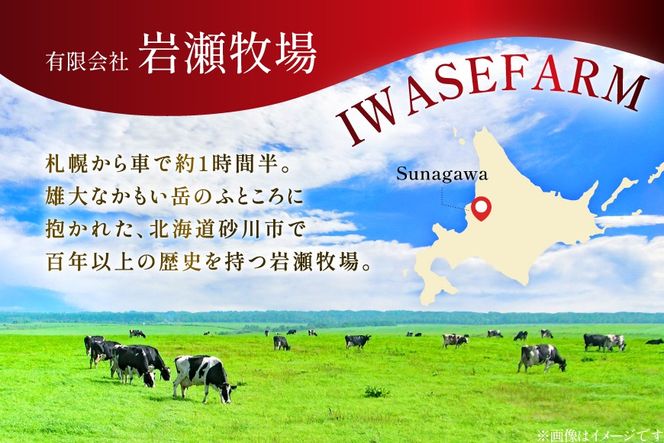 テレビで紹介！ アイス ジェラート ストロベリー 1L ファミリーサイズ [岩瀬牧場 北海道 砂川市 12260968] 冷凍 アイスクリーム 詰め合わせ スイーツ