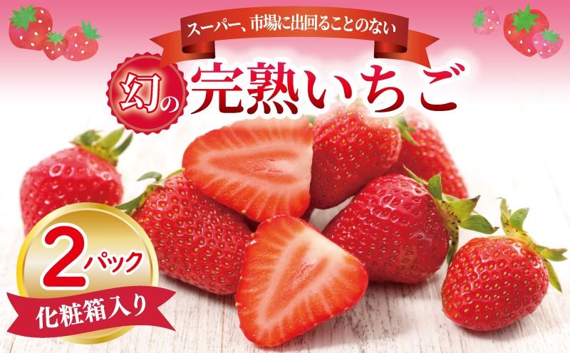 [先行予約]朝摘み 完熟いちご 2パック[化粧箱入り 苺 無添加 自然素材 フルーツ イチゴ 高評価 数量限定]