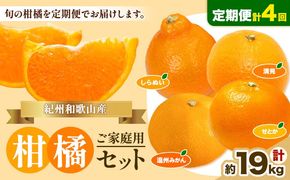 【先行予約】【発送月固定定期便】紀州 和歌山産 旬の ご家庭用 柑橘 セット (みかん 不知火 せとか 清見)【全4回】 計19kg 株式会社魚鶴《1月上旬-5月上旬頃出荷》 和歌山県 日高川町 みかん 不知火 清見 オレンジ 柑橘 蜜柑 果物 訳あり 送料無料 定期便---wshg_uotteik3_25_47000_mo4num1---