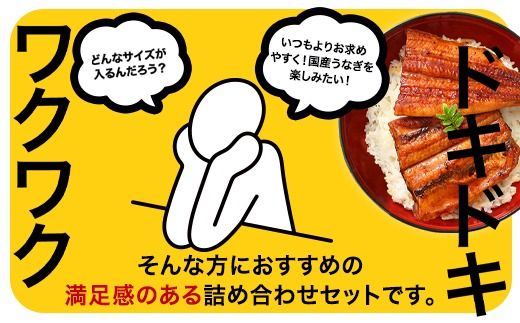 国産うなぎ蒲焼きガチャ福袋 500g入〈 うなぎ屋 かわすい 〉 (A1154-1) ｜ グルメ大賞連続受賞 特製タレ付 送料無料 高評価 人気 ギフト 贈り物 お歳暮 御歳暮 丑の日 お中元 特産品 和歌山県 有田市