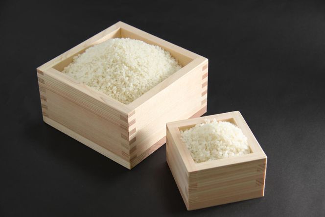 【新米】令和8年産　近江米　コシヒカリ 白米【10kg（5kg×2袋）】【V012W2】（滋賀県　近江八幡市）