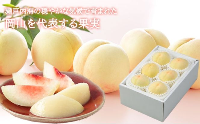 桃 2026年 先行予約 岡山 白桃 エース 4～8玉 1.2kg 岡山県産 JAおかやまのもも  モモ 岡山県産 国産 フルーツ 果物 ギフト