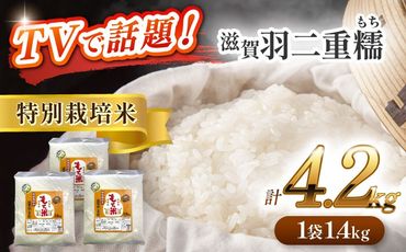 令和6年産　愛知県産滋賀羽二重糯　計4.2kg 1.4kg（1升）3袋セット　特別栽培米　もち米　お赤飯　お餅　愛西市／戸典オペレーター[AECT002]