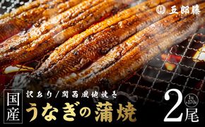 099H5076 【訳あり】老舗「五郎藤」関西風地焼き 国産有頭旨鰻 170g×2尾 計約340g前後 うなぎ ウナギ 蒲焼き 炭火