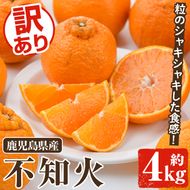 訳あり不知火(約4kg) 国産 鹿児島県産 果物 フルーツ 柑橘 不知火【松永青果】akn053-17