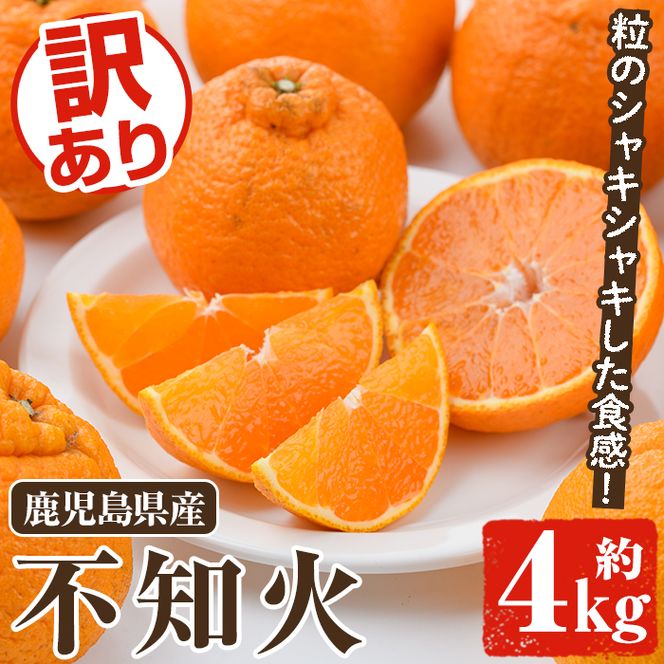 訳あり不知火(約4kg) 国産 鹿児島県産 果物 フルーツ 柑橘 不知火【松永青果】akn053-17