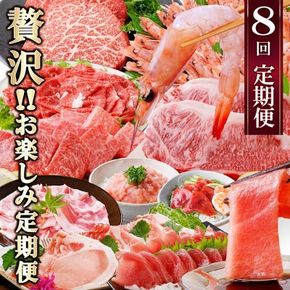 定期便8回配送　ぜいたく!!お楽しみ定期便　HH0-0001 【1505356】