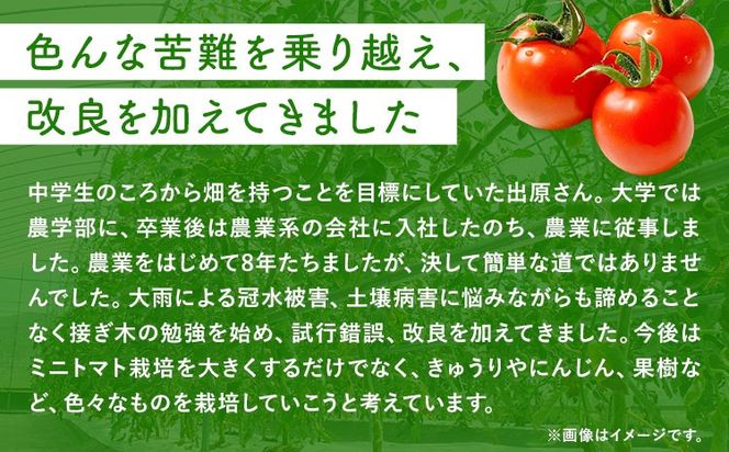 ミニトマト 約1kg 出原農園 《1月上旬-5月末頃出荷》 岡山県 矢掛町 野菜 ミニトマト もぎたて 新鮮---osy_iktmt_af15_24_8500_1---