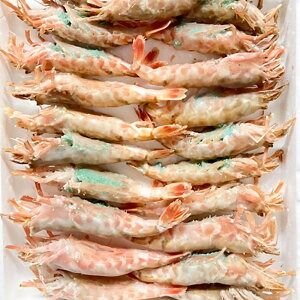 【ふるさと納税】山陰の地エビ希少な「モサエビ」お刺身用 500g以上【配送不可地域：離島】【1286545】