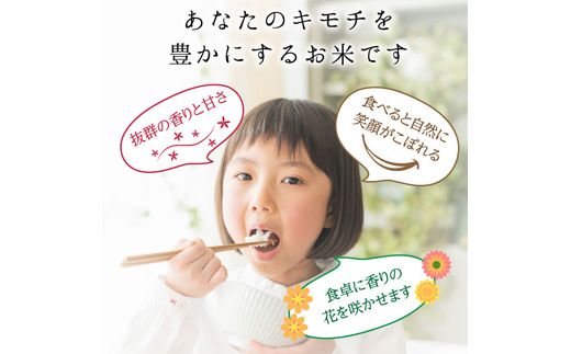 富山県ブランド米 富富富 精米 10kg ふふふ ブランド米 国産 米 お米 日本米 ギフト 贈り物 備蓄 防災 食品 陽咲玲 はるざれ F6T-1011