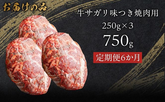 【6か月定期便】牛サガリ味つき焼肉用 750g (250g×3)  MROBM030