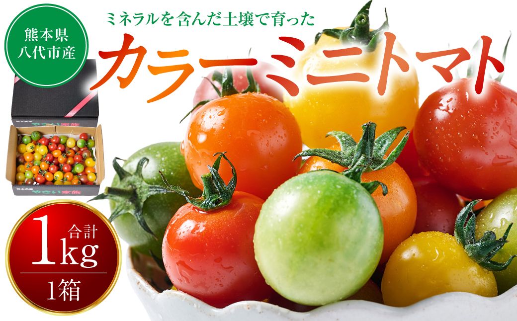 [先行予約] カラーミニトマト1kg トマト とまと ミニトマト プチトマト 野菜 やさい 旬の野菜 新鮮な野菜 地元産野菜 旬のやさい 新鮮なやさい ご当地 [2025年11月中旬より順次発送]