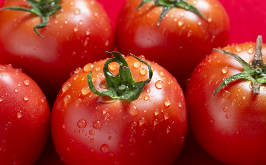 【先行予約】全5回定期便 オールシーズン アスパラ推しの野菜リレー（2026年4月から発送開始） BHRG082