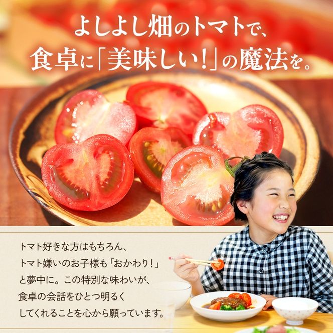 日本酒 トマト セット 兵庫県 加西市 富久錦 純青 生酛純米 ＆ よしよし畑 クラフトトマト 中玉 220g×3袋 コタニ酒店 セレクト