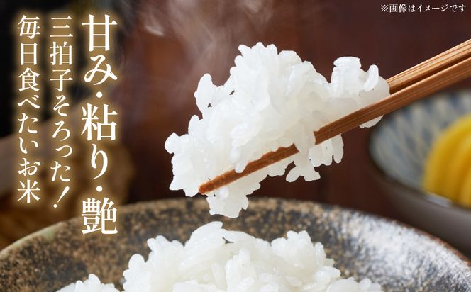 《令和7年産》 ヒノヒカリ 5kg×2袋 合計10kg 熊本県 八代市産 米 お米 精米 白米 国産