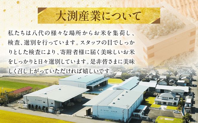 《令和7年産》 ヒノヒカリ 5kg×2袋 合計10kg 熊本県 八代市産 米 お米 精米 白米 国産