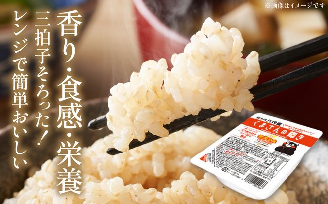 くまさんの輝き 発芽玄米 パックごはん 180g×24個入り 米 お米 コメ 熊本県産 国産 パックご飯 ひとり暮らし 非常食 防災 仕送り 備蓄