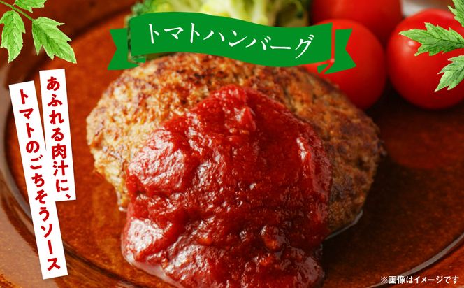 魅せる・美せる・味せる！「３み」一体ミニトマト！ 八代市産 トマト ミニトマト 約3kg 野菜 とまと 熊本県 八代市