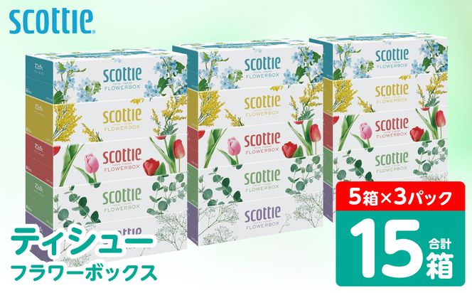 【スコッティ】 ティシュー フラワーボックス 250組 15箱 ティッシュ 日用品 生活必需品 消耗品 紙 まとめ買い 備蓄 防災備蓄 デザインボックス ストック 新生活 防災 生活用品 日用消耗品 箱ティッシュ