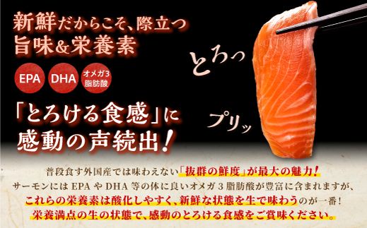 4-70　※2026年12月末までにお届け※国産トラウトサーモン【800g】