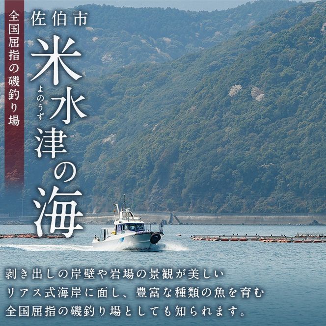 千代丸 磯釣り 送迎 チケット (1回分) 釣り 瀬渡し 送迎券 せわたし アウトドア レジャー つり 魚 大分県 佐伯市 米水津【JA01】【千代丸】