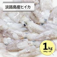 淡路島産ヒイカ 1キロ イカ