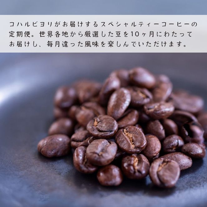 【定期便10ヶ月】スペシャルティーコーヒー定期便（豆200g 2種）合計4kg