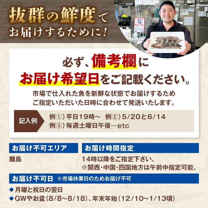 【12回定期便】違いの分かる鮮魚店店長が送る 高知のお魚定期便！！お申込翌月より12回お届け お楽しみ 定期便 魚 海鮮 魚介 カツオのタタキ 鰹 タイ カンパチ ウツボ【さかなの森澤　マル祐】 [BQAM007]