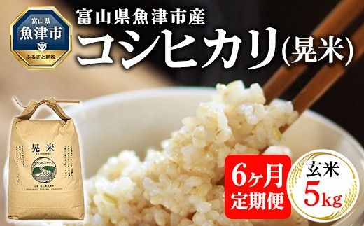 【6ヶ月定期便】【令和6年度米】「魚津のコシヒカリ（晃米）」5kg（玄米） ｜ 環境配慮 MK農産 お米 ブランド米 銘柄米 玄米 ご飯 おにぎり 産地直送 甘み 旨味 香り ※2024年9月中旬頃より順次発送予定 ※北海道・沖縄・離島への配送不可