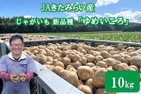 【予約：2026年9月上旬から順次発送】JAきたみらい産 じゃがいも 新品種「ゆめいころ」 10kg ( じゃがいも いも 芋 JA 北海道産 )【236-0001】