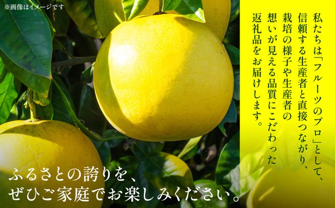 晩白柚（秀2Ｌ×2玉）約4kg 柑橘 果物 フルーツ 熊本県産 ばんぺいゆ フルーツ 柑橘 特産品