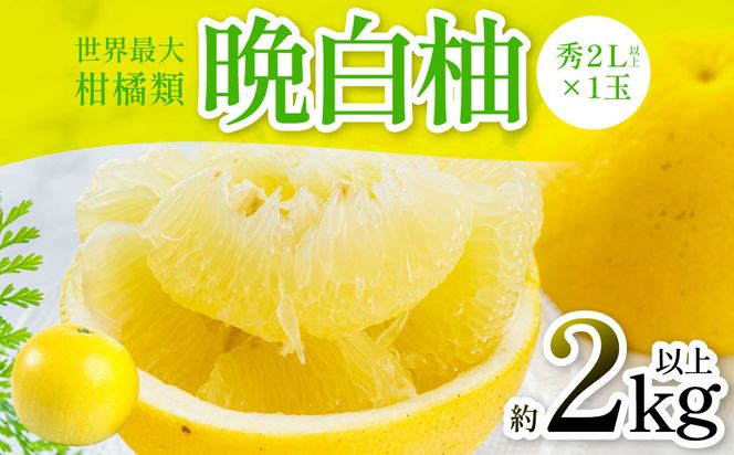 yF{szys\z ӔMiG2Lȏ×1ʁj2kgȏ k ʕ t[c F{Y ΂؂ t[c k Yiy2025N12{菇z