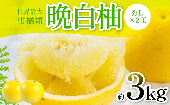 yF{szys\z ӔMiGL×2ʁj3kg k ʕ t[c F{Y ΂؂ t[c k Yiy2025N12{菇z