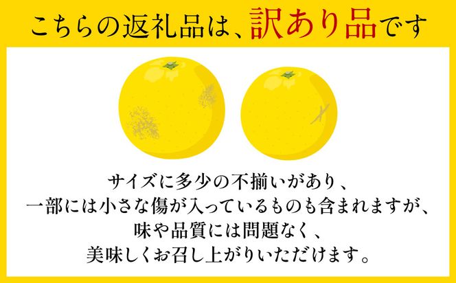 【先行予約】 晩白柚 （訳あり：不揃い5～6玉）約8kg 柑橘 果物 フルーツ 熊本県産 ばんぺいゆ フルーツ 柑橘 特産品【2026年1月上旬より順次発送】