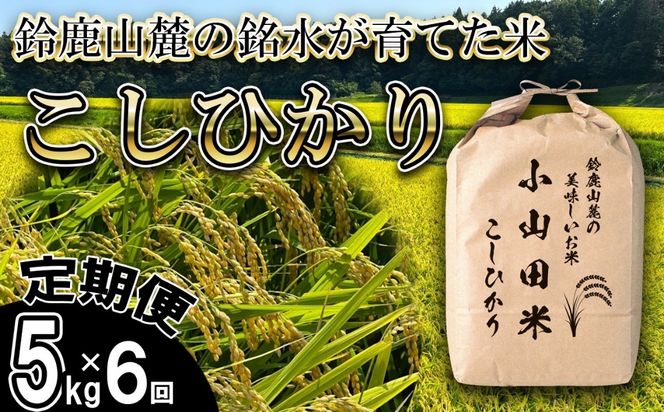 ＜定期便＞【令和8年度】新米 こしひかり（精米）5kg【6ヶ月】鈴鹿山麓の銘水が育てた米l 米どころ 三重県産 小山田地区  小山田米  米 コメ 白米 精米