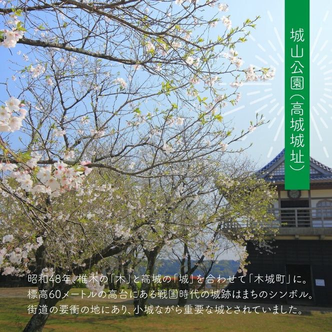 【宮崎県木城町】寄付のみの応援受付(返礼品はございません) 3000円_ K00_0005