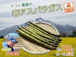 アスパラガス 先行予約 春アスパラガス 約700g 約20本前後 L～2L 厳選 マコト農園 アスパラ グリーンアスパラ 野菜 春 旬 旬の野菜 朝どれ 産地直送 2026年 2026 先行 予約 青森 冷蔵 冷蔵配送 5月6月発送