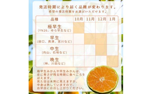 【1月発送】秀品 有田みかん 和歌山県産 S～Lサイズ 大きさお任せ 10kg / みかん フルーツ 果物 くだもの 有田みかん 蜜柑 柑橘【ktn003A-1】