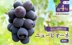 【2026年先行予約】 ぶどう 岡山県産 ニューピオーネ ( 種無し )約4kg(6～10房)【約2kg(3～5房)×2箱】 《2026年8月下旬-9月中旬頃出荷》 葡萄 ブドウ フルーツ 果物 スイーツ 数量限定 期間限定 岡山 里庄町 