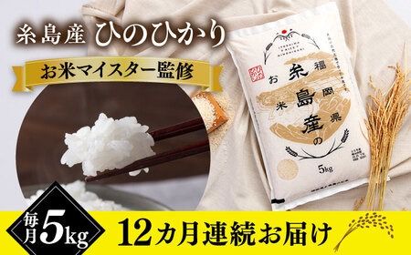 【全12回定期便】【こだわり精米】 糸島産 ひのひかり 5kg 糸島市 / RCF 米 お米マイスター [AVM008]