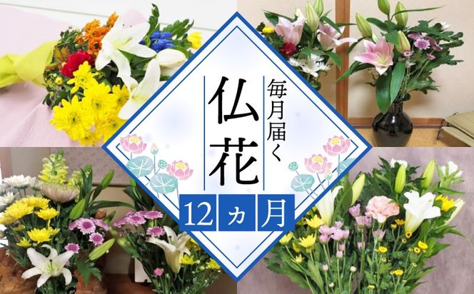 お供えのお花DX（生花組花2束）1年コース[ PT0065-020000]