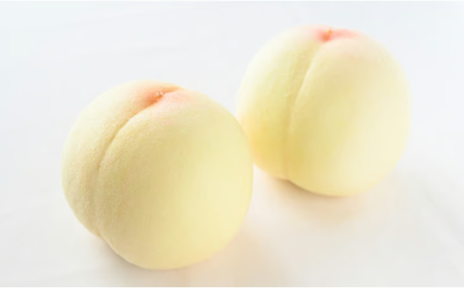 桃 ぶどう 2026年 先行予約 詰め合わせ 白桃 2玉（1玉220g以上）・ニュー ピオーネ２房（1房480g以上）化粧箱入り もも 葡萄 岡山県産 国産 フルーツ 果物 ギフト マスカット ニューピオーネ