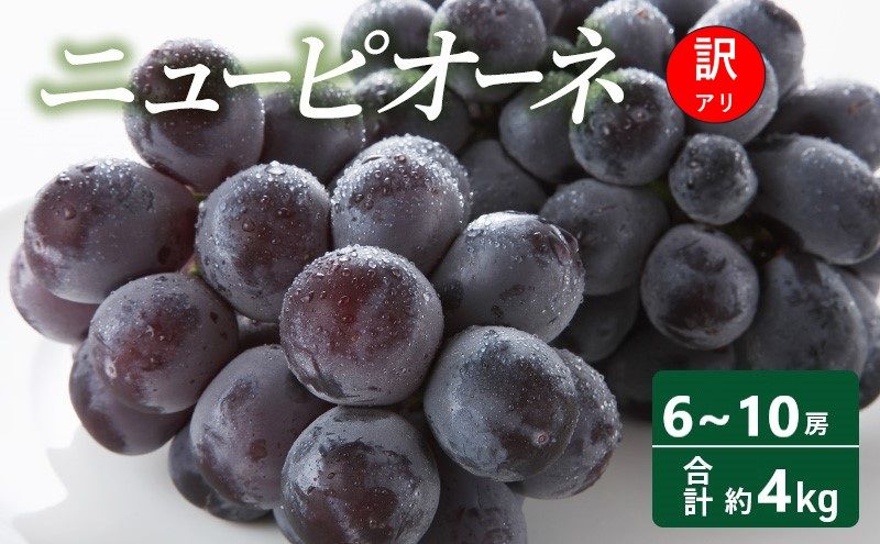 訳あり ぶどう ニューピオーネ 6〜10房 合計約4kg 岡山県 高梁市産 2026年 先行予約 常温 フルーツ 葡萄 ブドウ 種無し 産地直送 大粒 爽やか 食べやすい