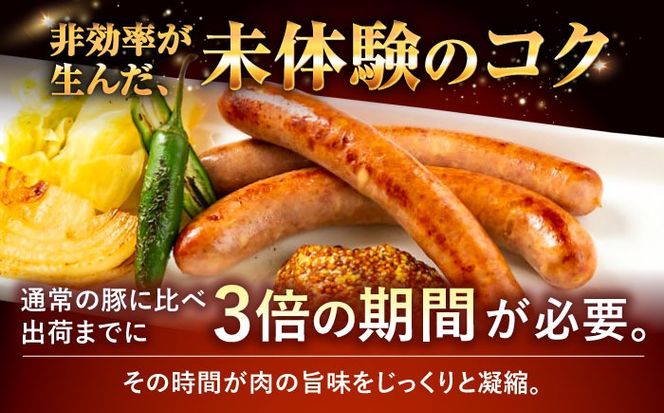 『NUCHIBUTA Bセット』 豚肉 ポークステーキ ソーセージ 詰め合わせ お取り寄せ 国産 ギフト 冷凍 沖縄市 / DELICATESSEN NUCHIBUTA [BCAR004]