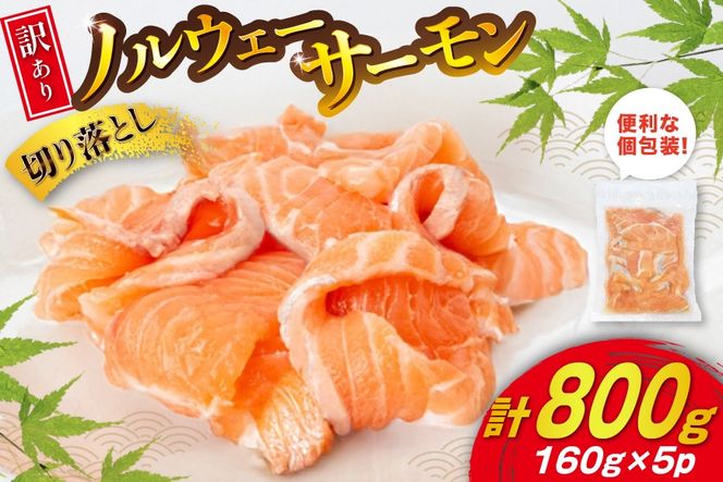 訳あり ノルウェー産 アトランティックサーモン 切り落とし おさしみ用 800g 160g×5p 個包装 [足利本店 宮城県 気仙沼市 20565990] 魚介 魚 サーモン さけ サケ 鮭 尾っぽ お刺し身 刺し身 刺身 冷凍